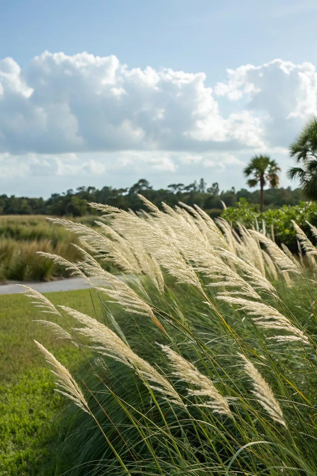 Ornamental grasses bring texture and movement to your garden.