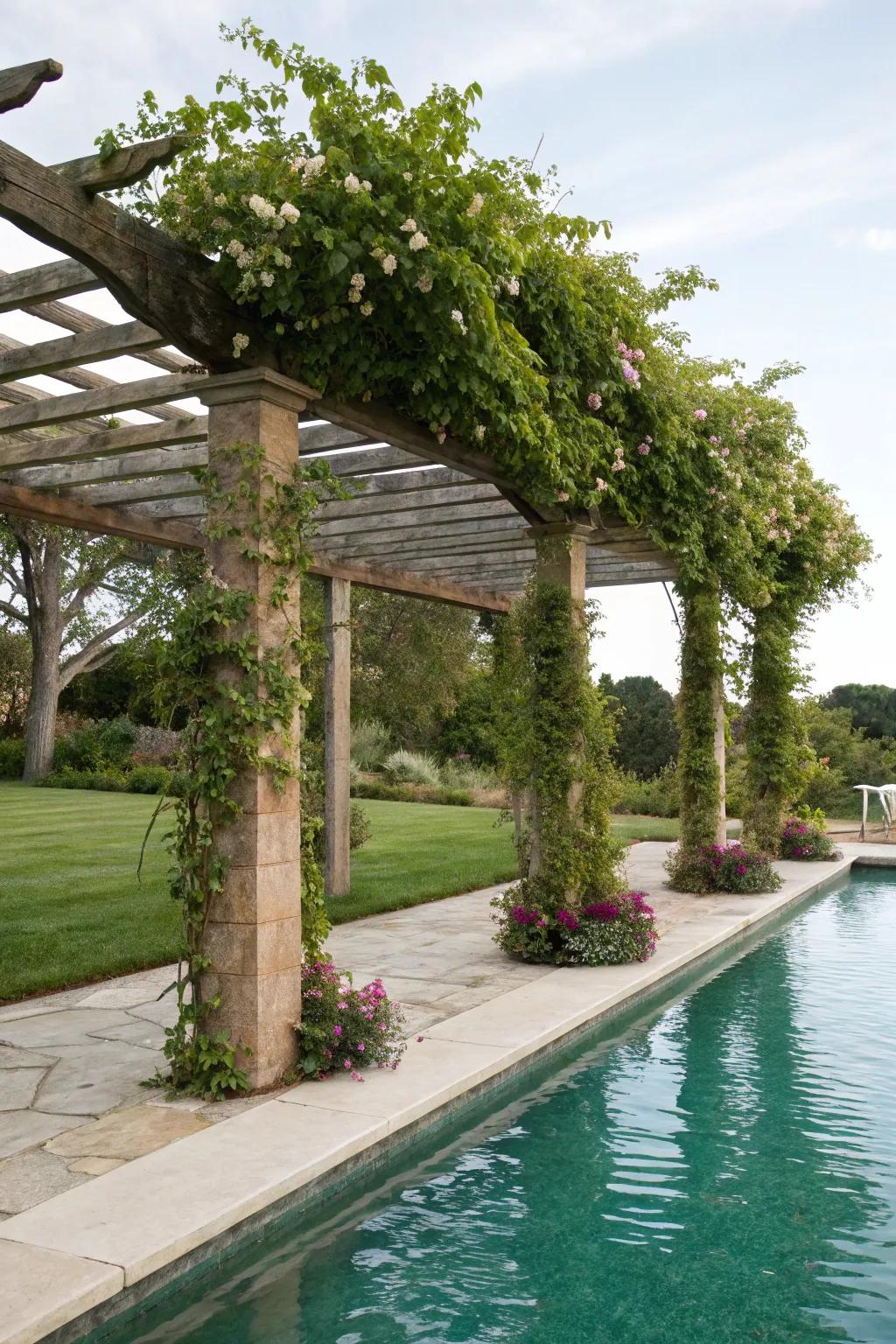 Garden trellis pergola creates a natural, integrated look.