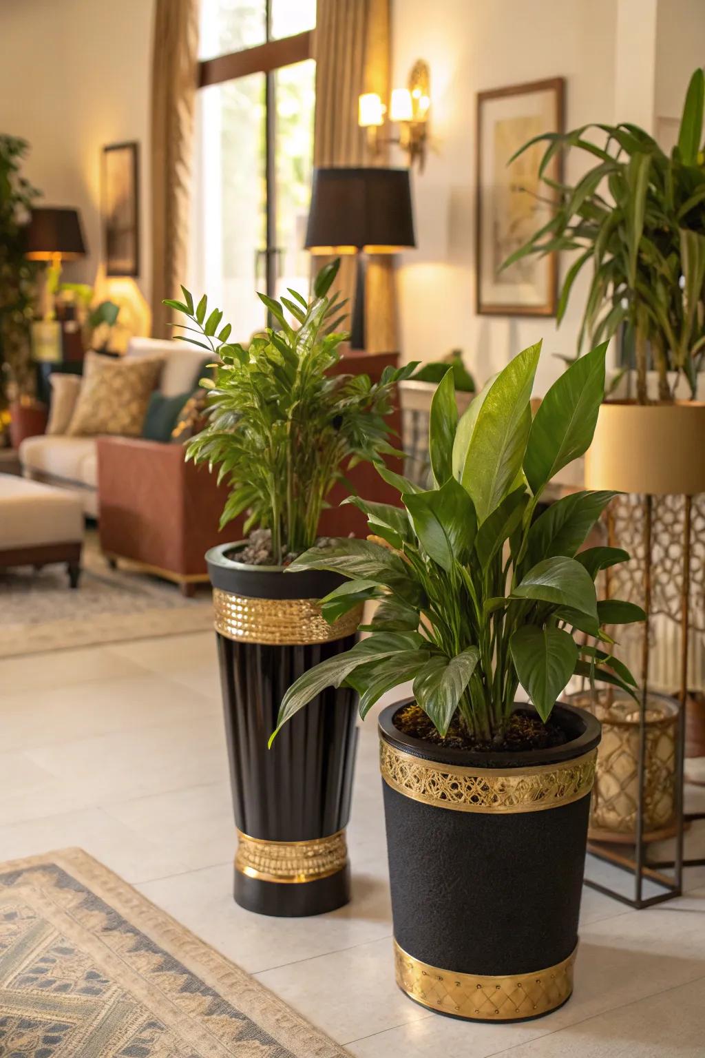 Indoor plants provide a refreshing contrast.
