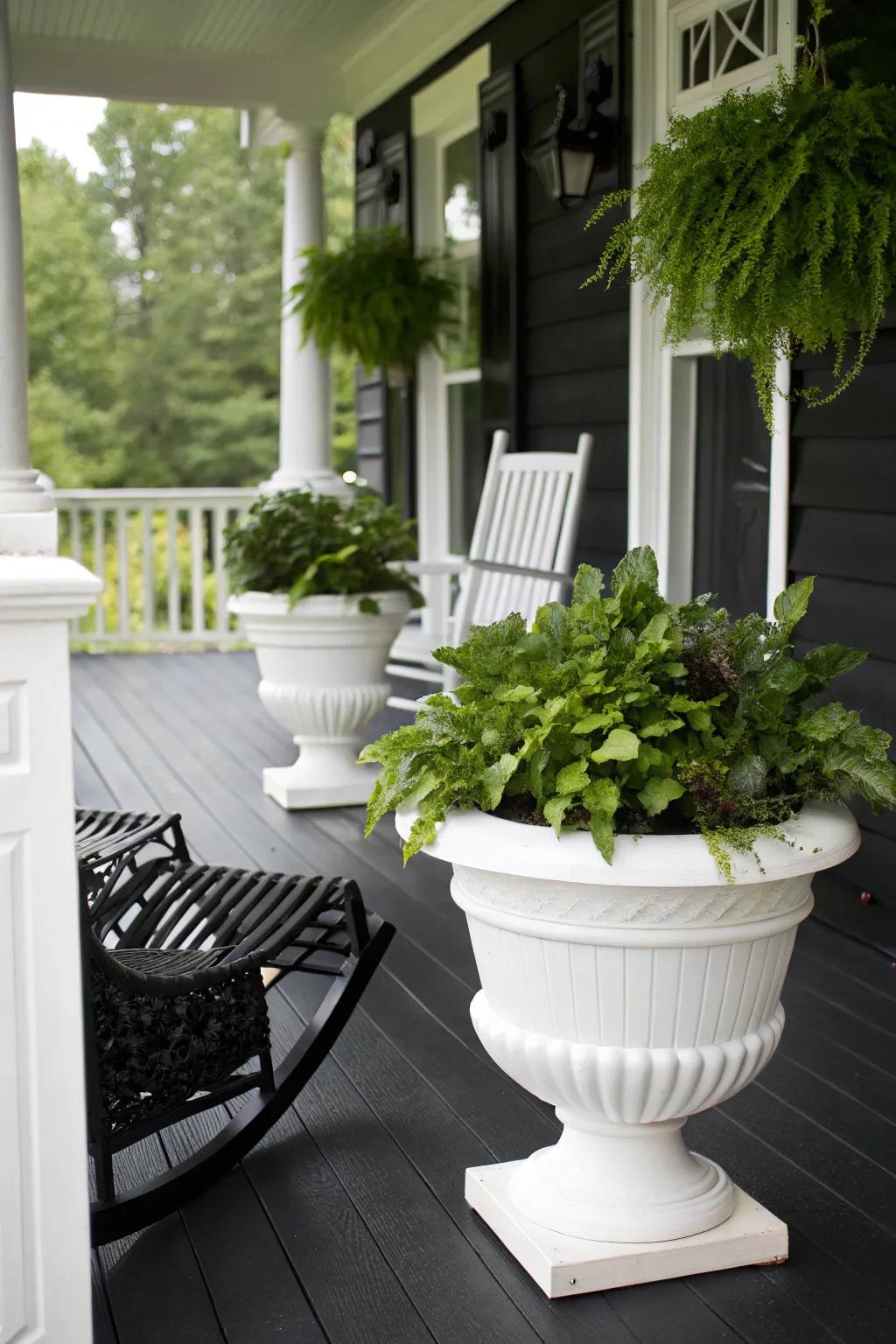 A black porch with striking white planters creating a bold contrast.