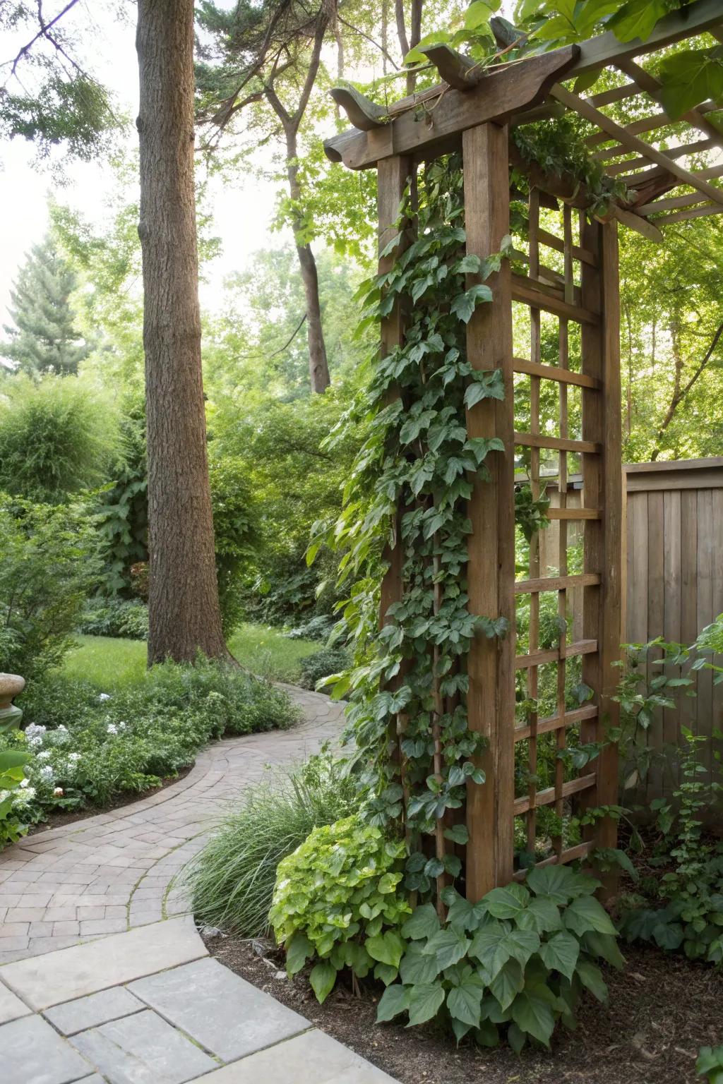 A vertical garden brings life to limited spaces.