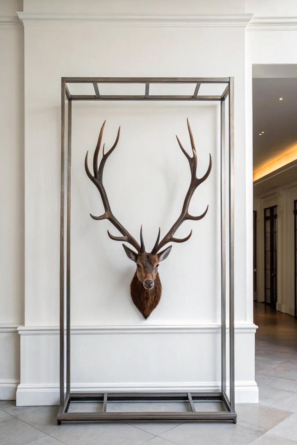 Deer antlers in a sleek metal frame offer a minimalist touch to a modern wall.