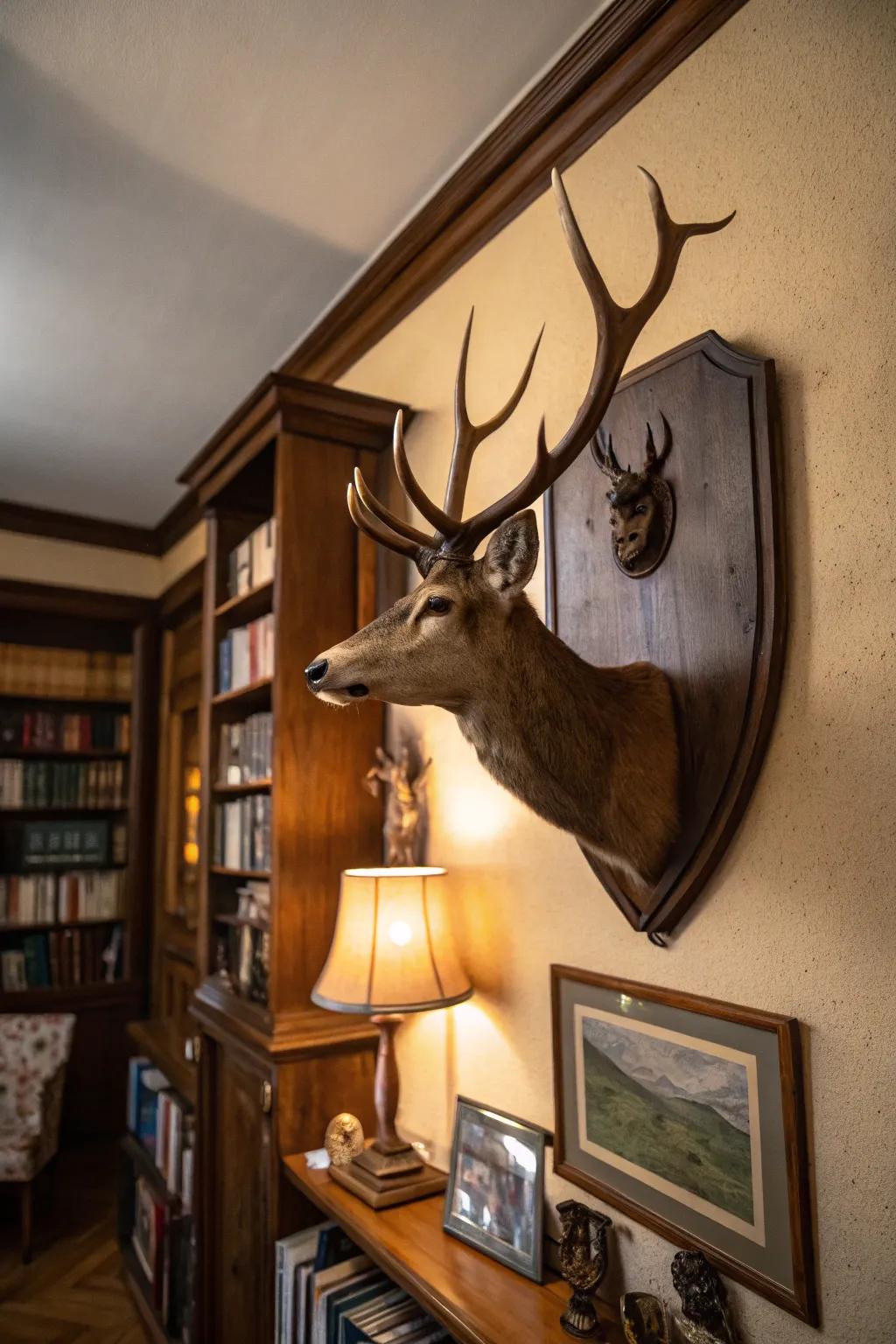 Deer antlers on a vintage plaque add historical charm to a cozy study.