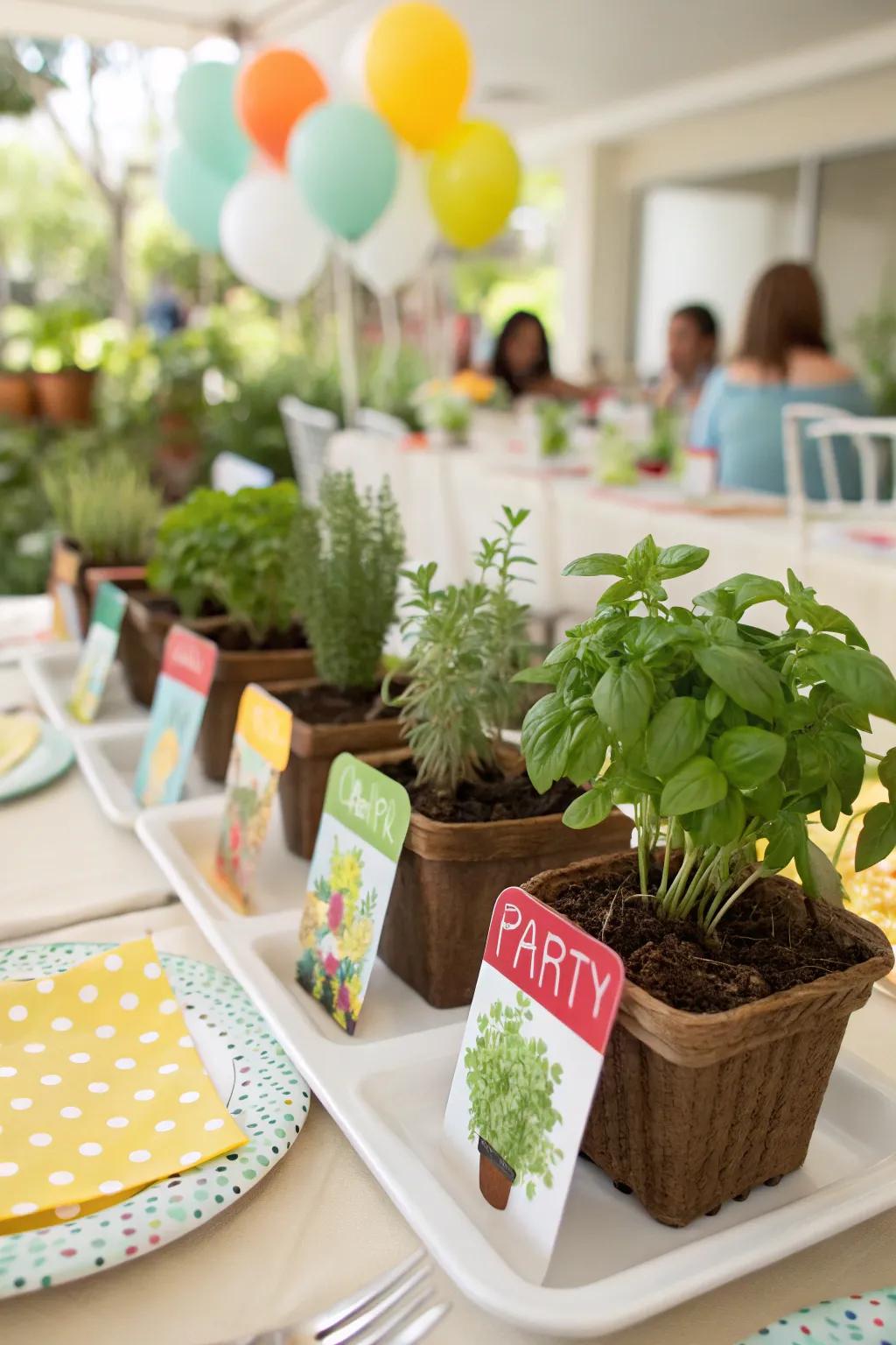 Interactive mini herb garden sets as party favors.
