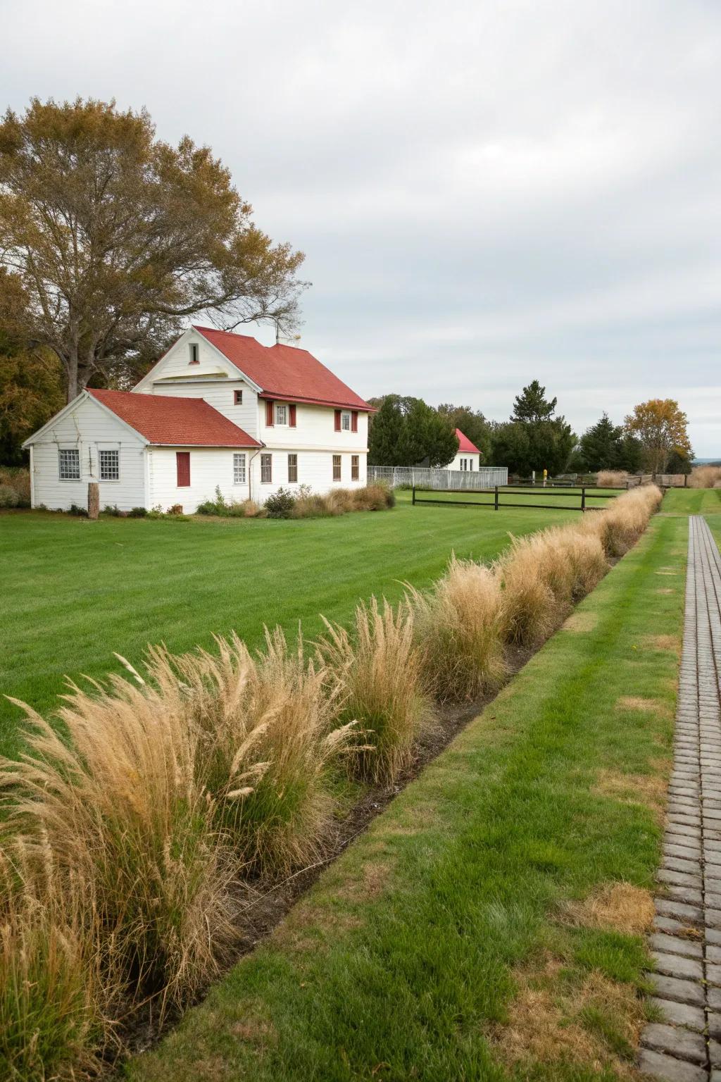 A well-maintained lawn offering simplicity and elegance.